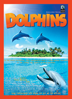 Dolphins-Film145